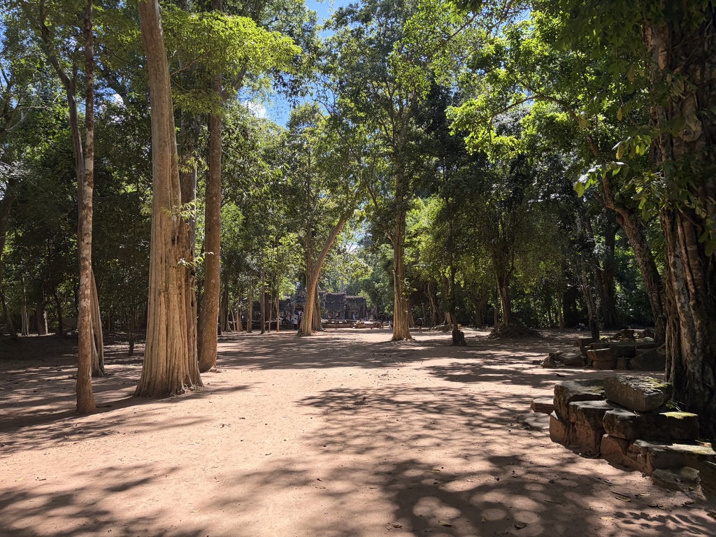 塔布隆寺，本身就处在一片丛林里面