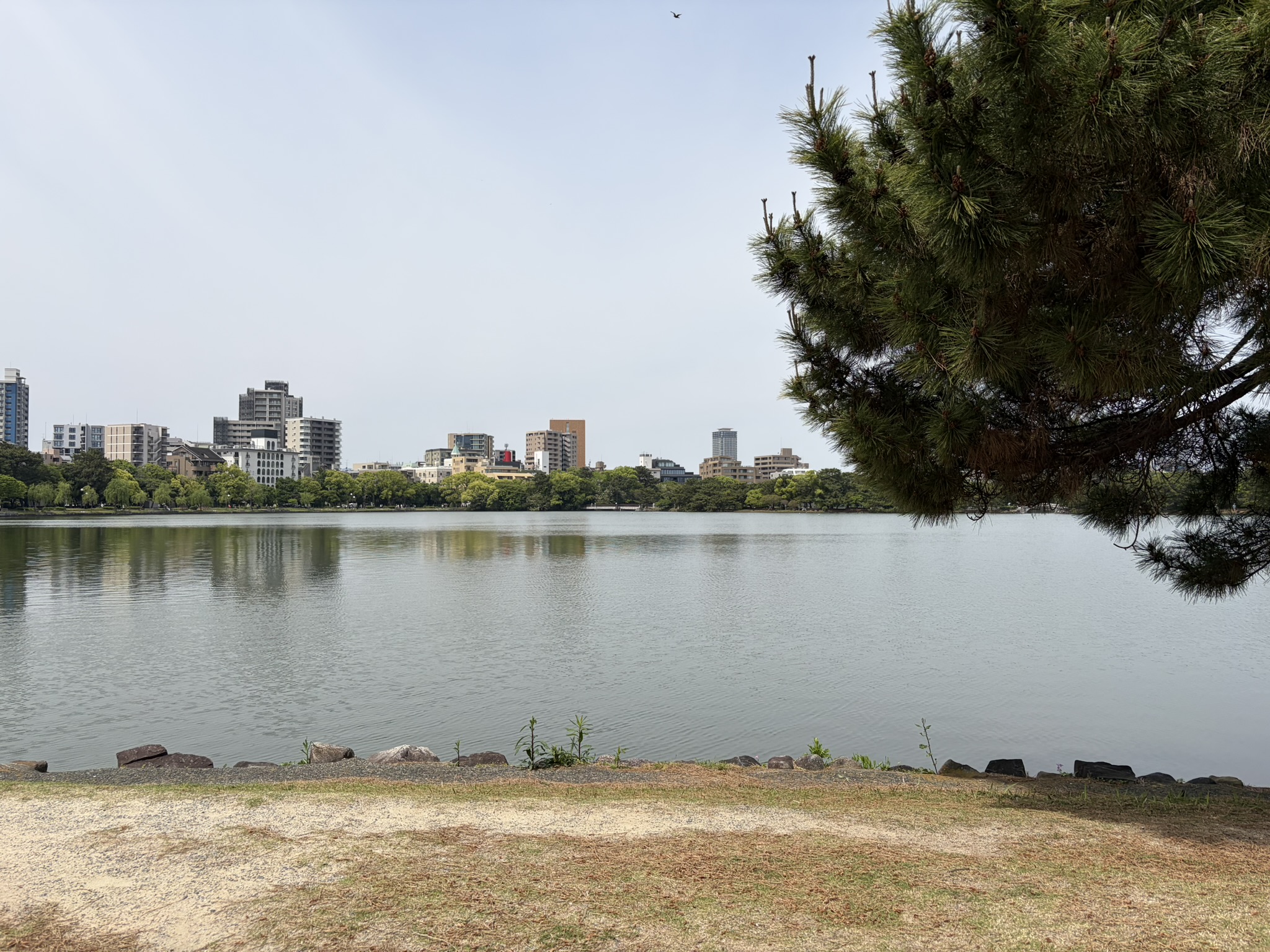 大濠公园